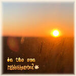 in the sun